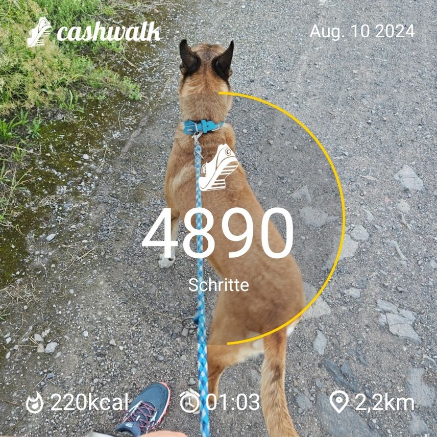 CashWalk_share_capture_20240810_919e9513-31b4-454f-9a62-93ef1bb3