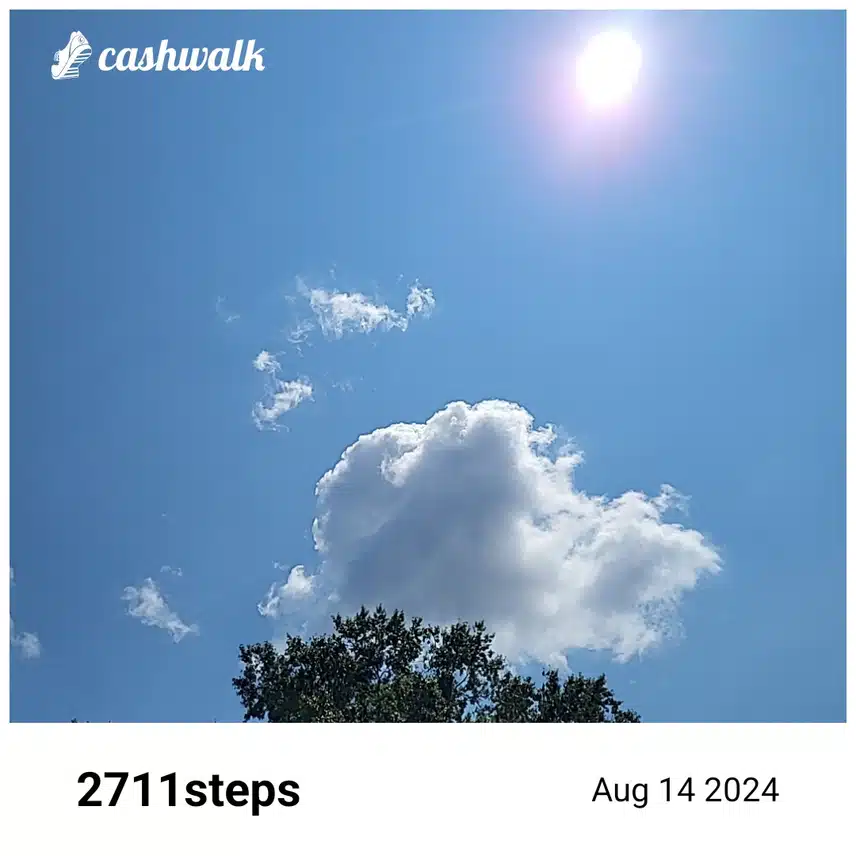 1000012544.jpg