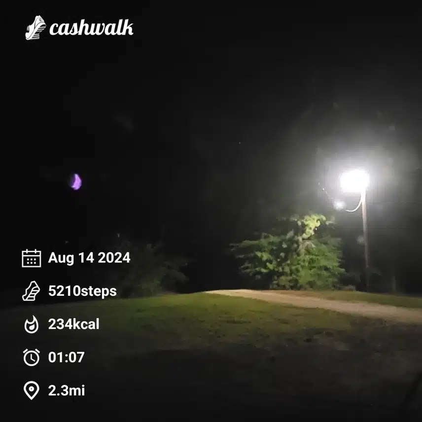 1000001916.jpg_resize
