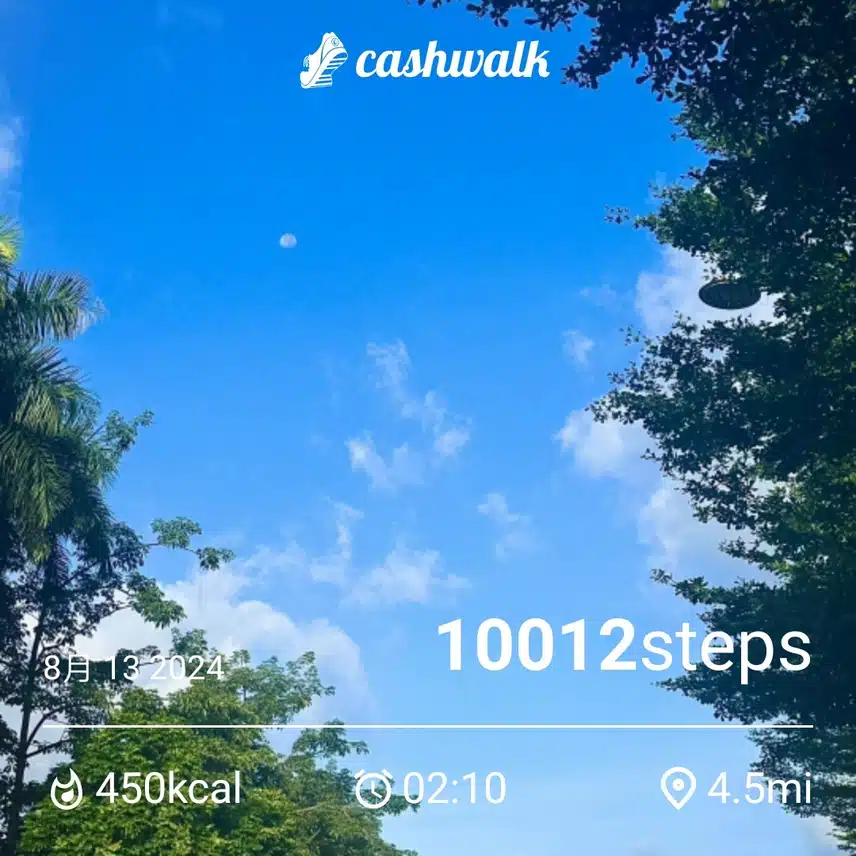 CashWalk_share_capture_20240813_d40fd850-7b96-4c60-a5c2-35e2b0e7