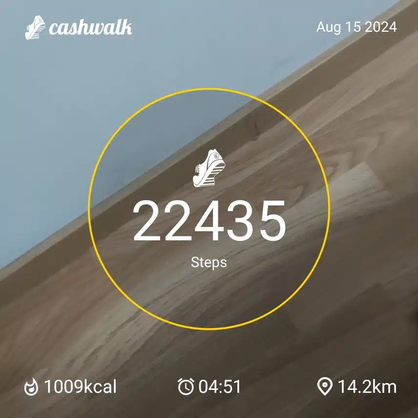 CashWalk_share_capture_20240815_a97cb3a3-85a1-4c4b-9032-b5eb1a91