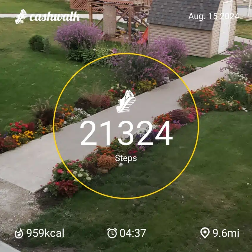 CashWalk_share_capture_20240815_bc3511b1-aae7-4e76-b045-f7230eb6