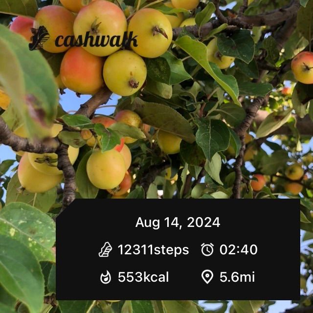 IMG_0706.jpeg_resize
