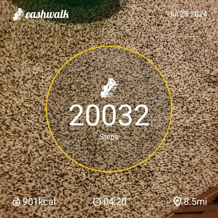 CashWalk_share_capture_20240725_5befc2ba-7d37-44cc-bfe6-fbd73196