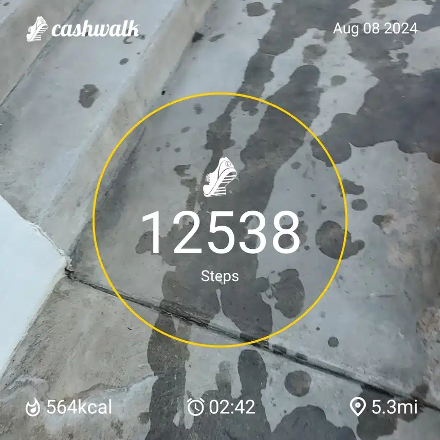 CashWalk_share_capture_20240808_99a97f0e-f877-44fa-aaca-7ac0802d