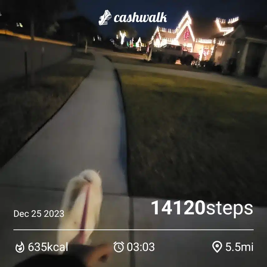 CashWalk_share_capture_20231225_1b11e663-b08a-4384-9865-1aa8c4ab