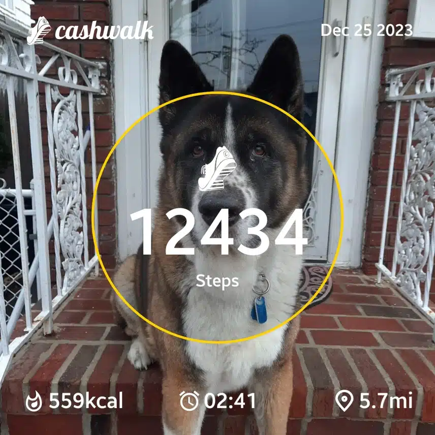 CashWalk_share_capture_20231225_f6d438df-f592-4c40-a35d-714fbc5a