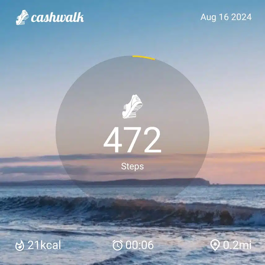 CashWalk_share_capture_20240816_fb792166-15b9-416e-92fd-ca4ccc3f