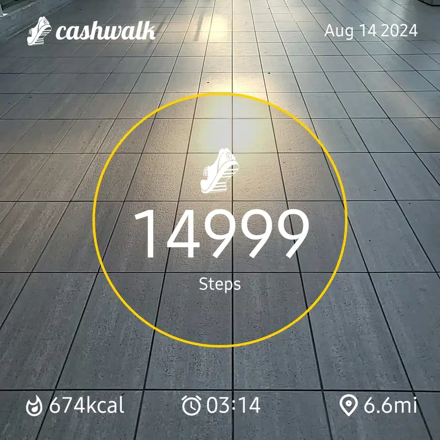 1000052460.jpg