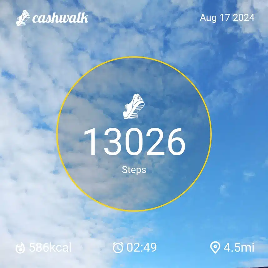 CashWalk_share_capture_20240817_08e28aba-96fc-4362-b107-fe22d8d7