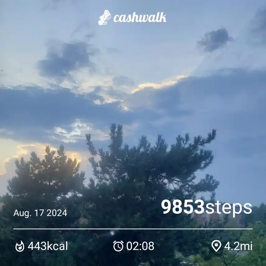 CashWalk_share_capture_20240817_9d280efe-e158-461d-bb48-2852f490