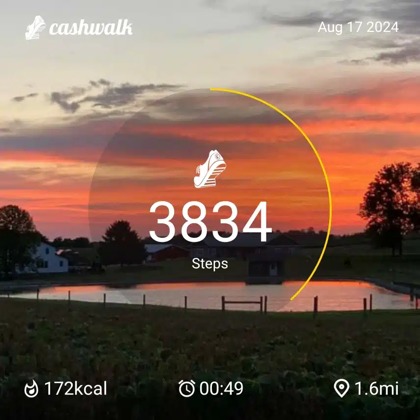 CashWalk_share_capture_20240817_b8f112ed-437e-41f1-9471-a87ad983