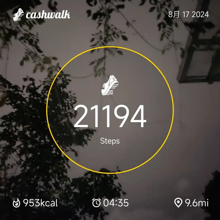 CashWalk_share_capture_20240817_a6f38dfe-5573-46b3-8d2f-0b50b1da