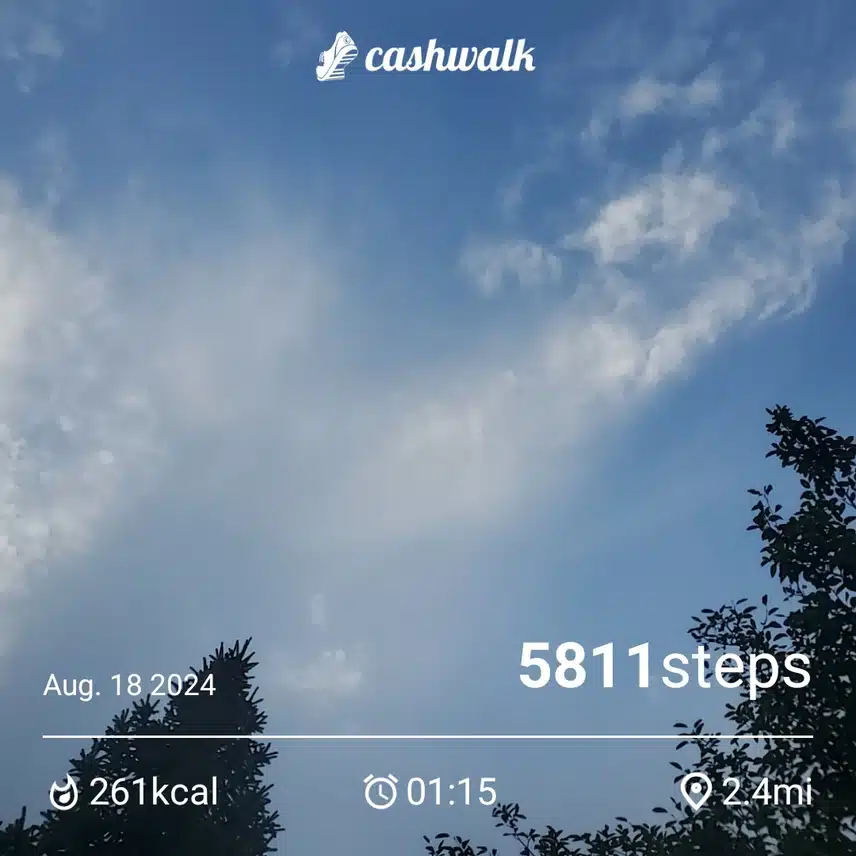 CashWalk_share_capture_20240818_6ce2f919-efd6-4af0-b7b6-e7c30d11