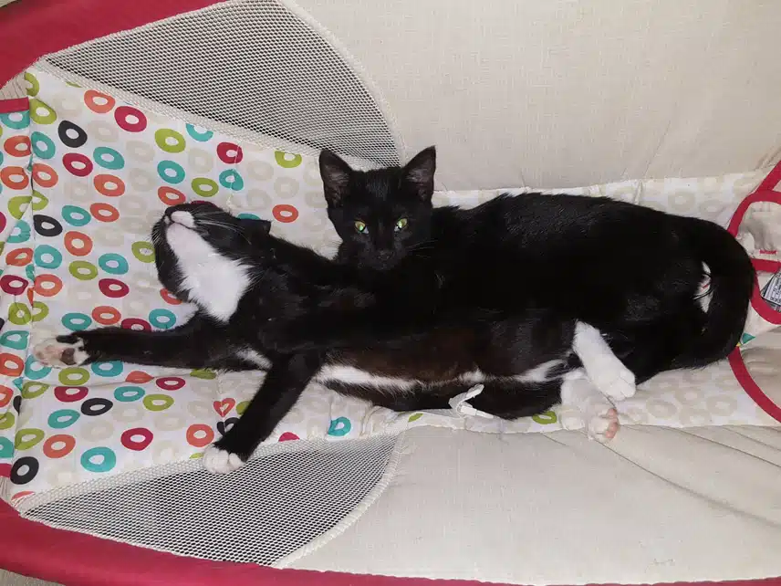 20161211_161321.jpg_resize