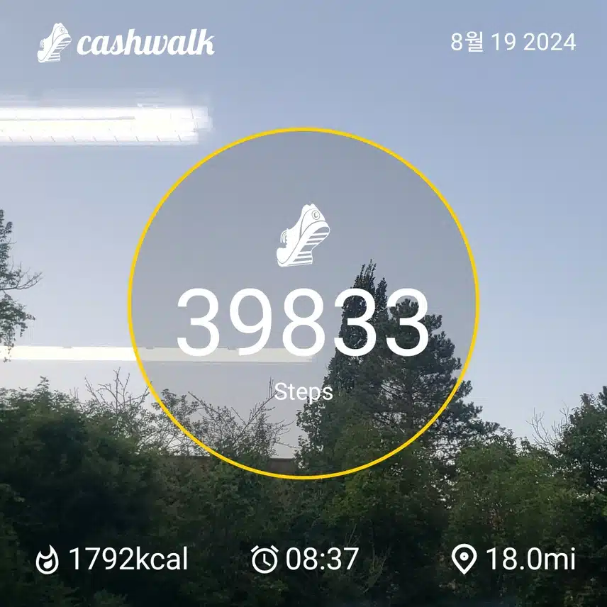 CashWalk_share_capture_20240819_6e7da5ae-7fc1-46e0-ba44-5a13848f