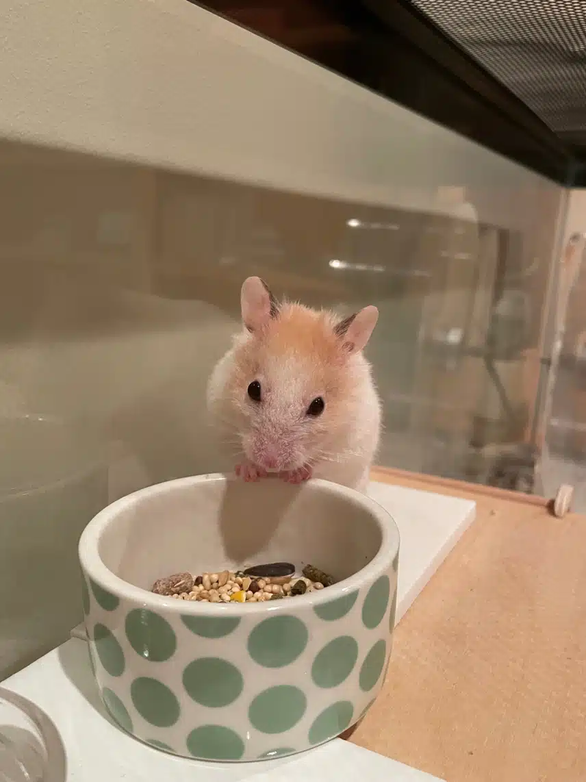 IMG_7076.jpeg_resize