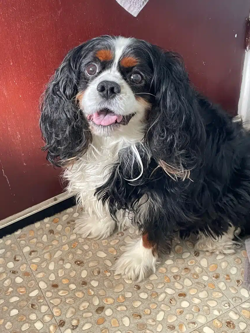 IMG_0524.jpeg_resize