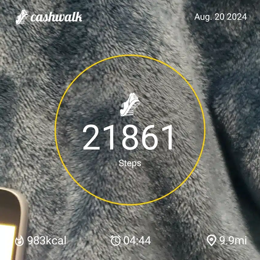 CashWalk_share_capture_20240820_f0e3d5cf-5ad6-4b30-a3cb-831cf304