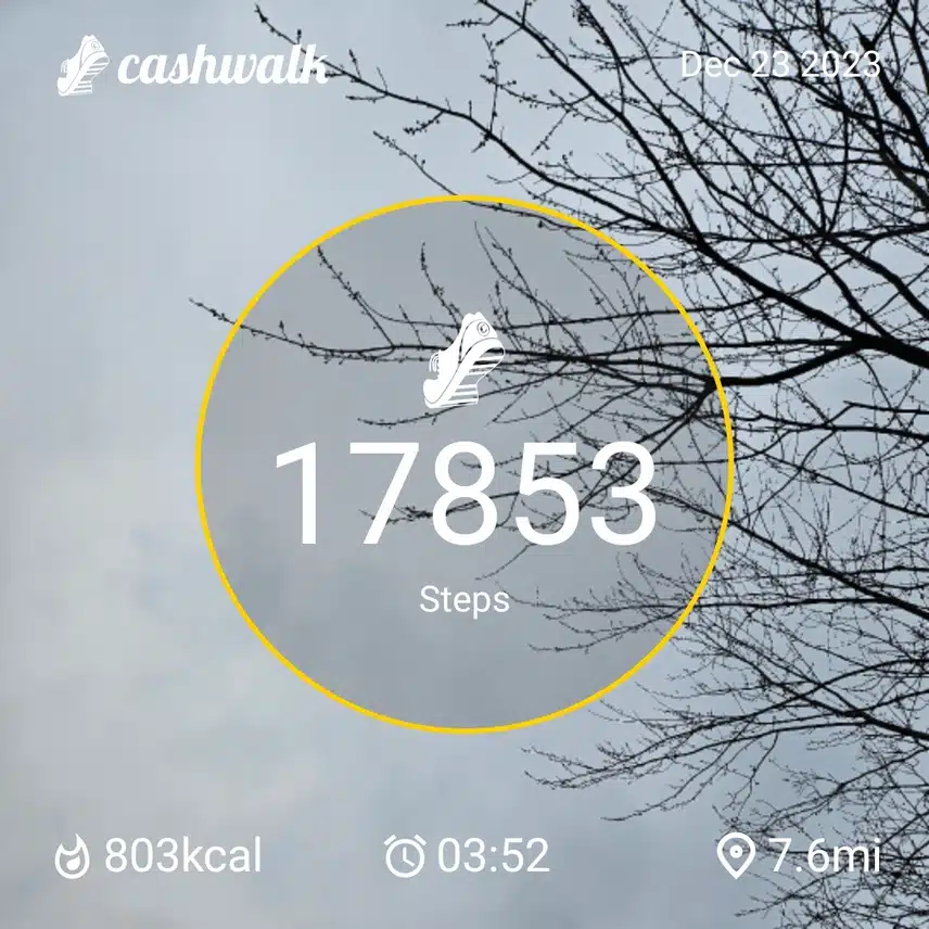 CashWalk_share_capture_20231223_d81383c3-5886-4fb8-bdd3-7831f879