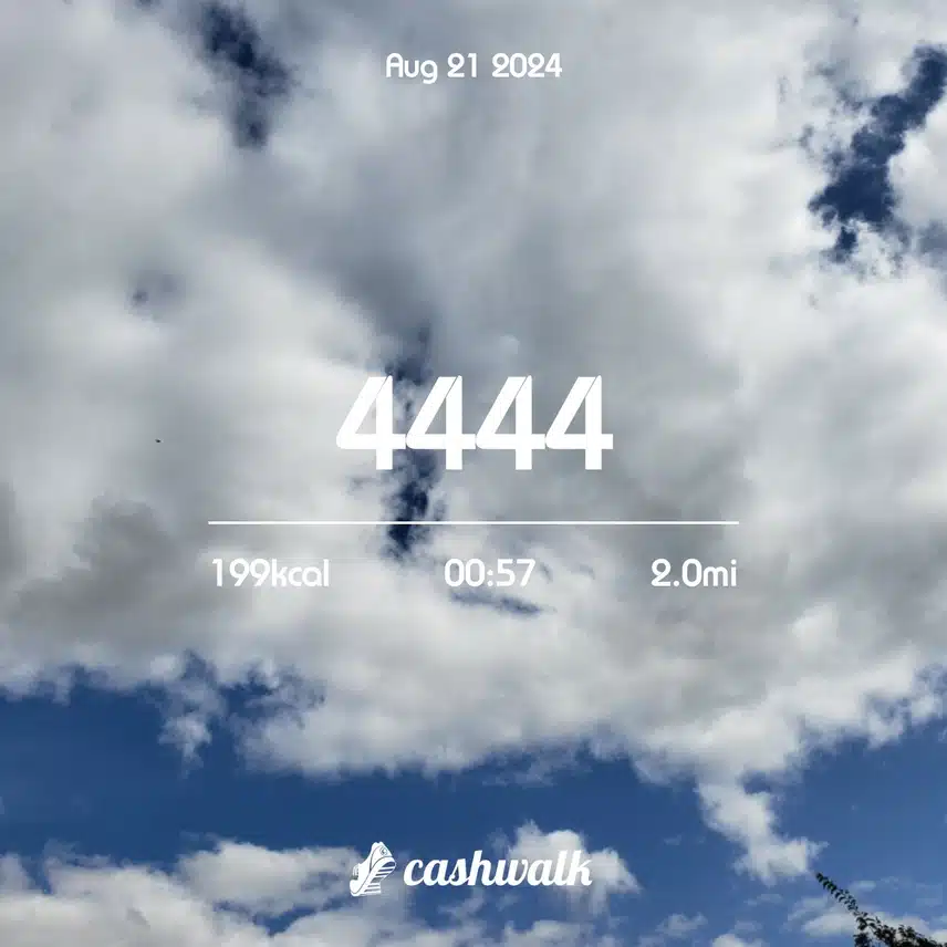 CashWalk_share_capture_20240821_e702ae50-a2a8-4913-9982-34498f2b