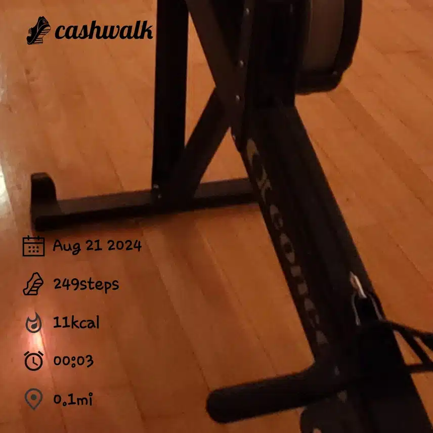 CashWalk_share_capture_20240821_bc4d3344-5333-4b2e-bfc7-e8a9b2e0