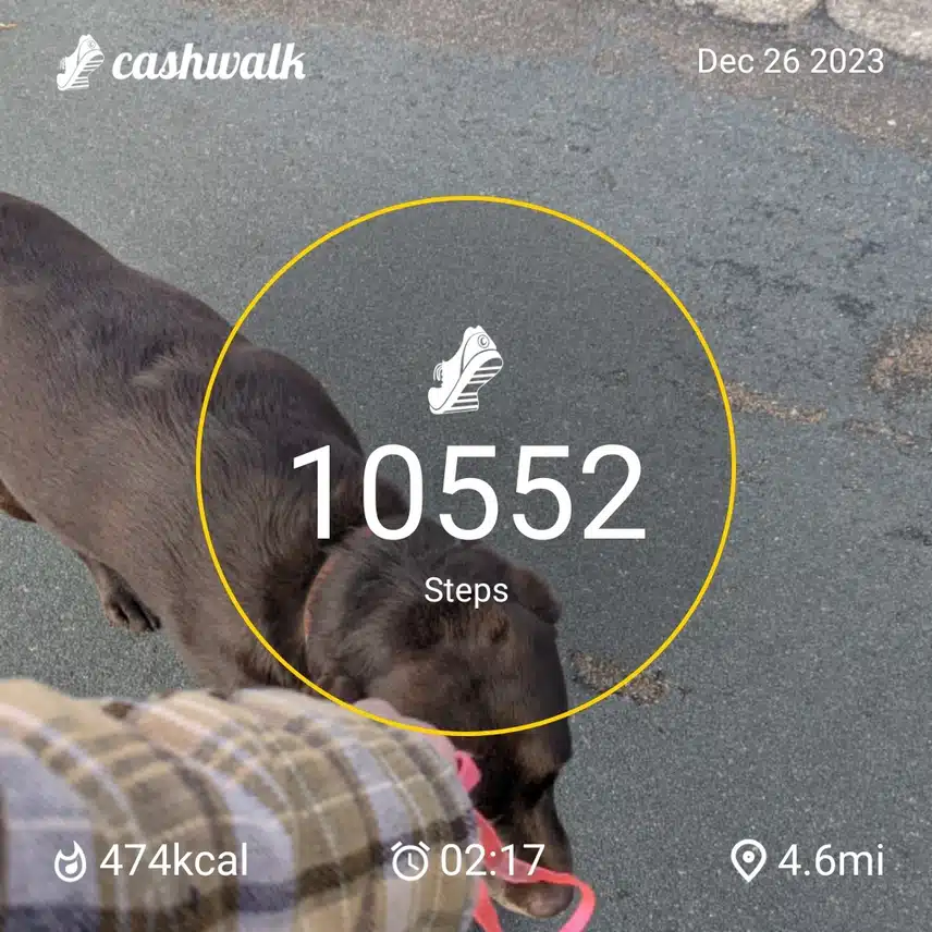 CashWalk_share_capture_20231226_dd8ded16-1ec3-4a84-bd10-04a95fd6