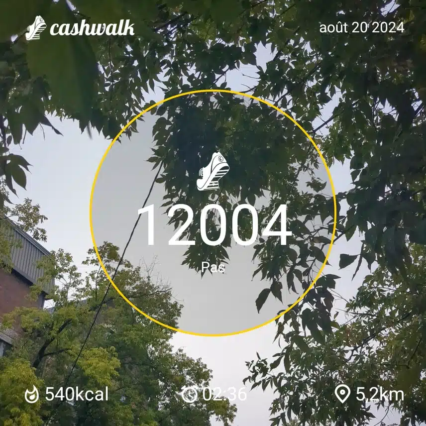 1000010704.jpg_resize