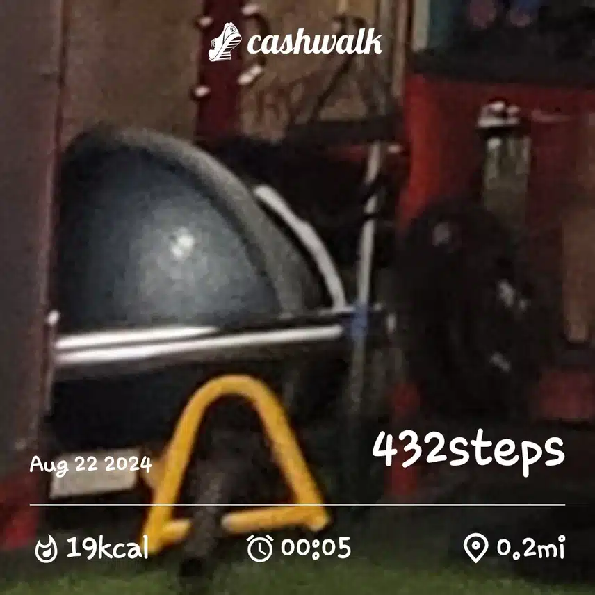 CashWalk_share_capture_20240822_25e3cecb-0791-4301-b779-a23dfb4e