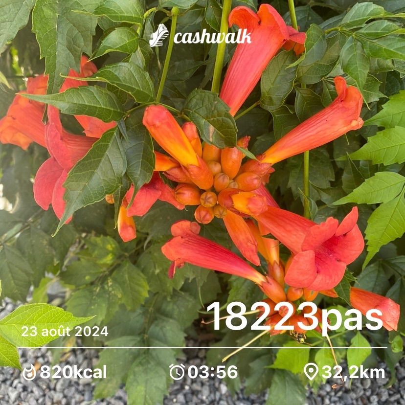 IMG_2814.jpeg_resize