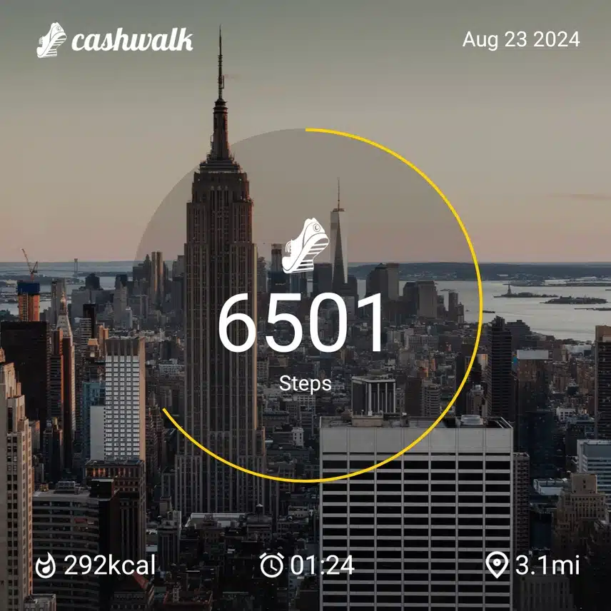 1000009803.jpg_resize