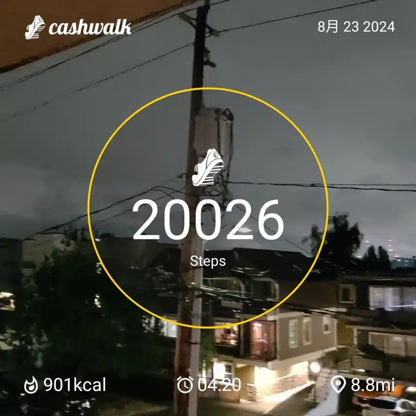 CashWalk_share_capture_20240823_9d4f7e94-2781-4f9e-877b-56c53560