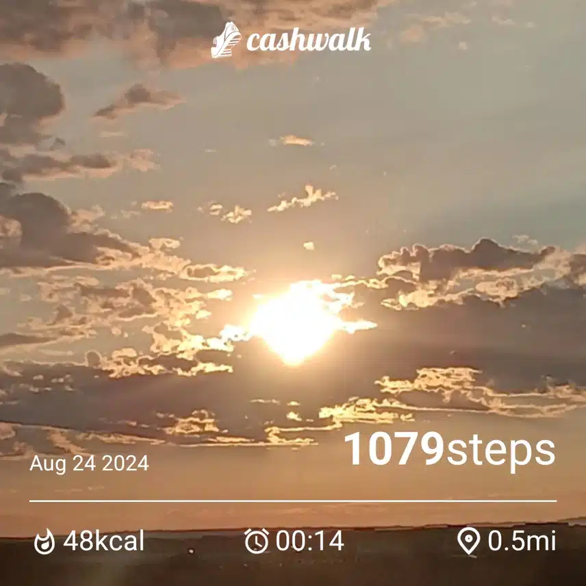 1000003741.jpg