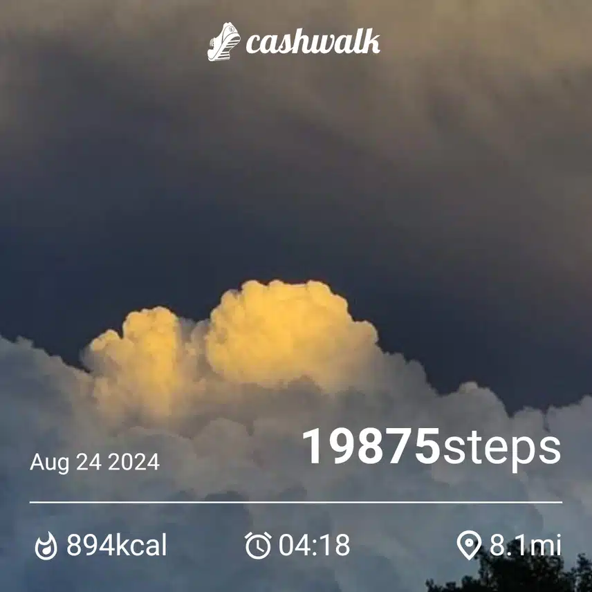 1000018717.jpg