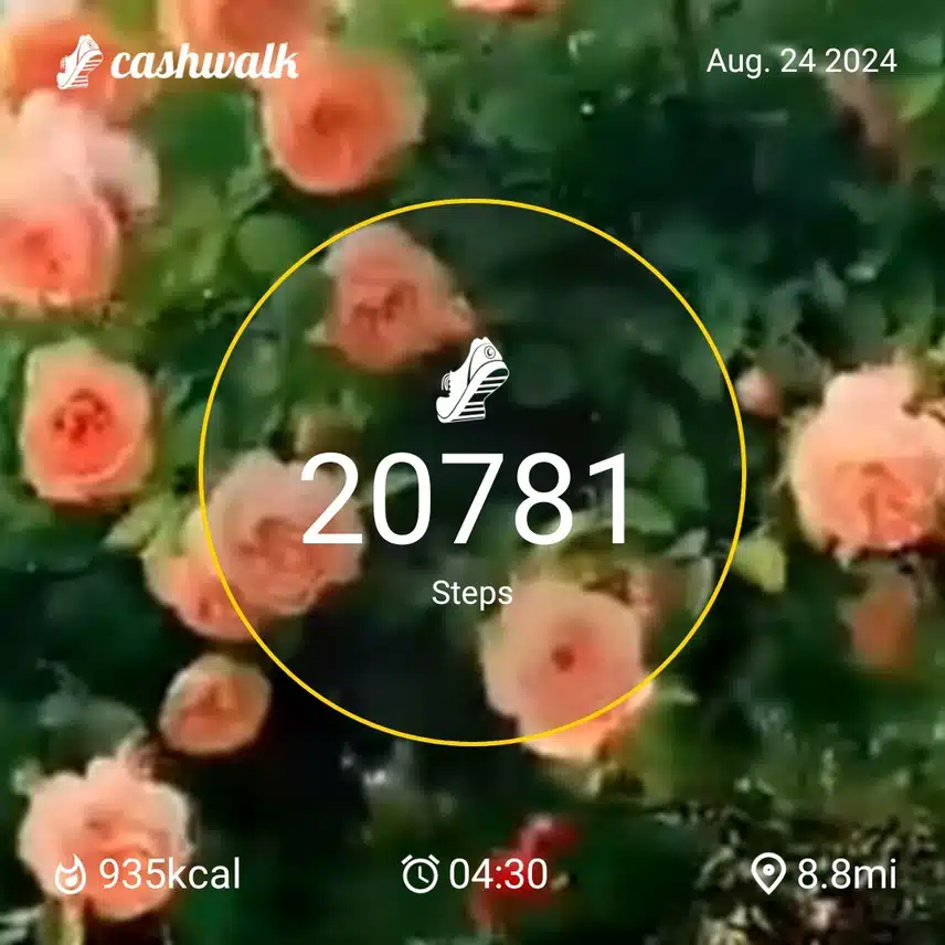 CashWalk_share_capture_20240824_a4c696fb-4cc8-4e2a-ad44-e6c81fea
