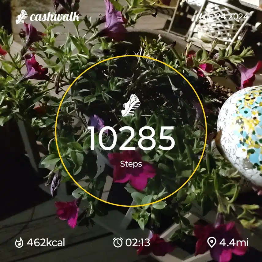 CashWalk_share_capture_20240824_57a6b63f-7224-43d7-9ff9-59fcd097