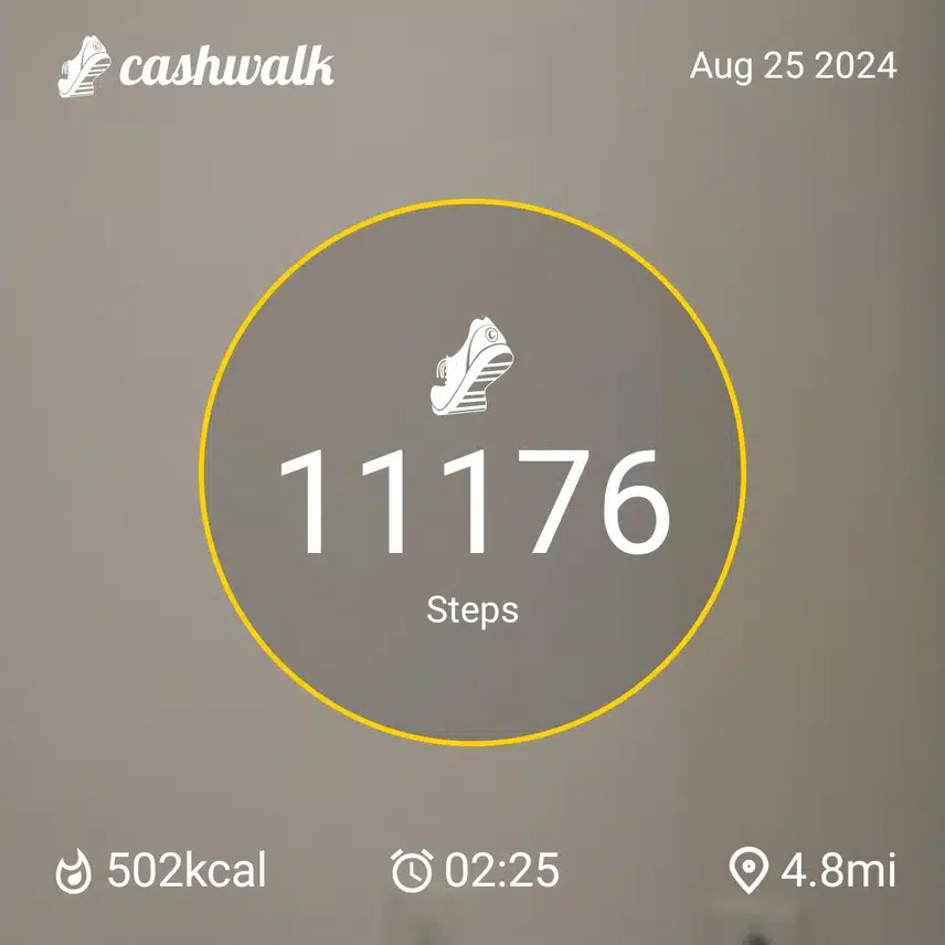 CashWalk_share_capture_20240825_7879fcbf-8f2f-4bfa-a9ef-5c6eae4c