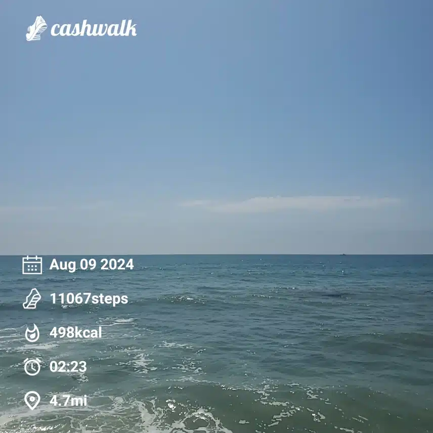 CashWalk_share_capture_20240809_45ed7ddf-fbb7-4bb5-b0ea-0921cb37