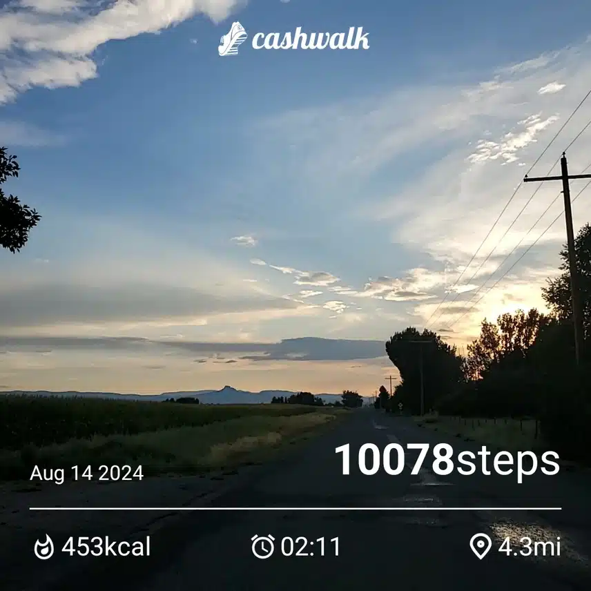 CashWalk_share_capture_20240814_e8e8a3b3-6298-4fd9-a66b-768da128