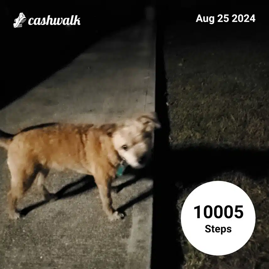 CashWalk_share_capture_20240825_0eb1da08-19a3-40b5-b391-c460110b