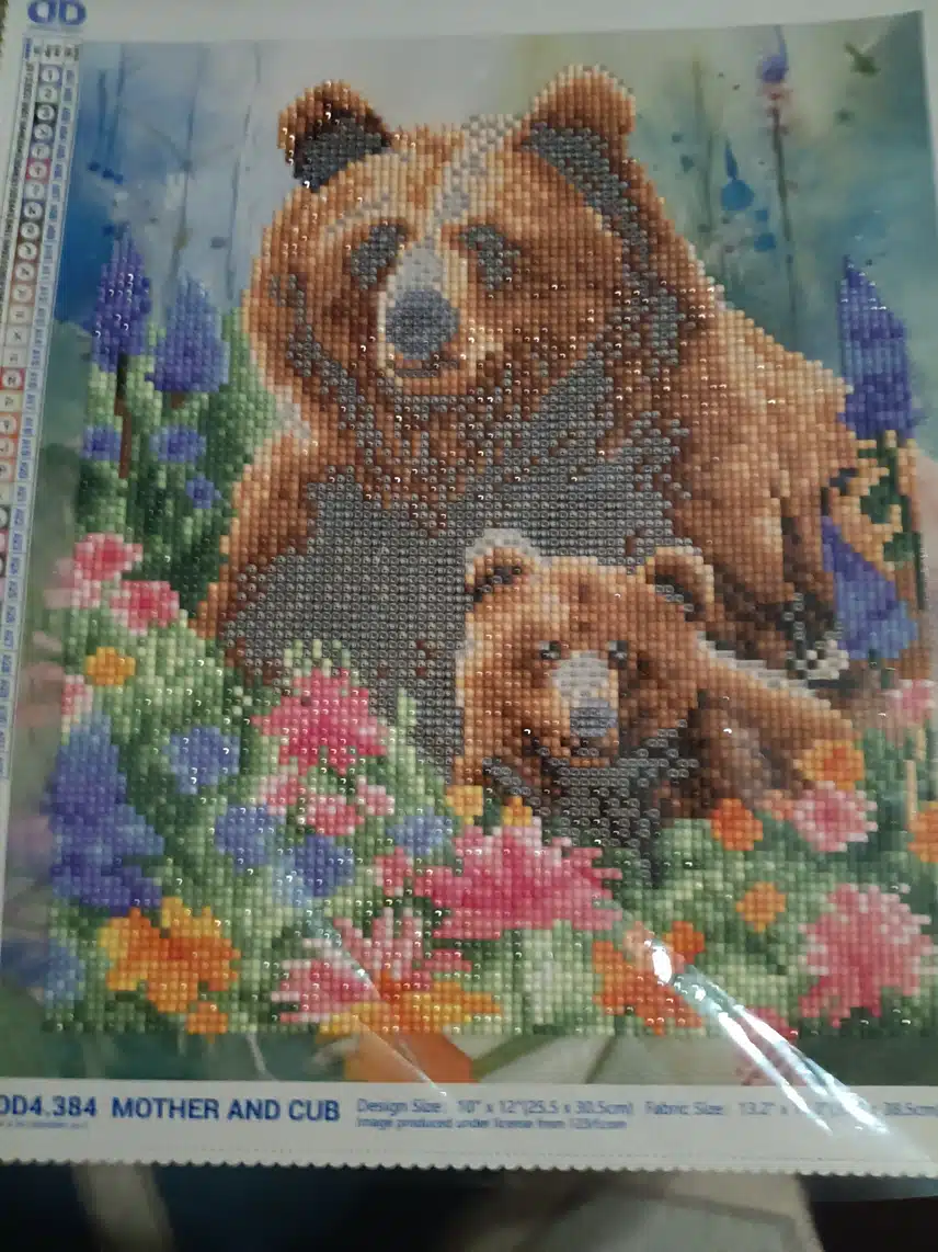 1000001404.jpg_resize