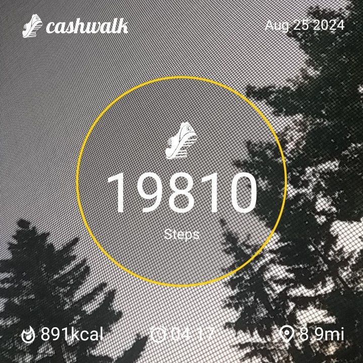 CashWalk_share_capture_20240825_b4578ece-8e7b-454d-9b16-2f1972b5