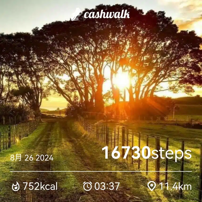 CashWalk_share_capture_20240826_c1b1550b-c03c-4b5e-8e4e-e997152a