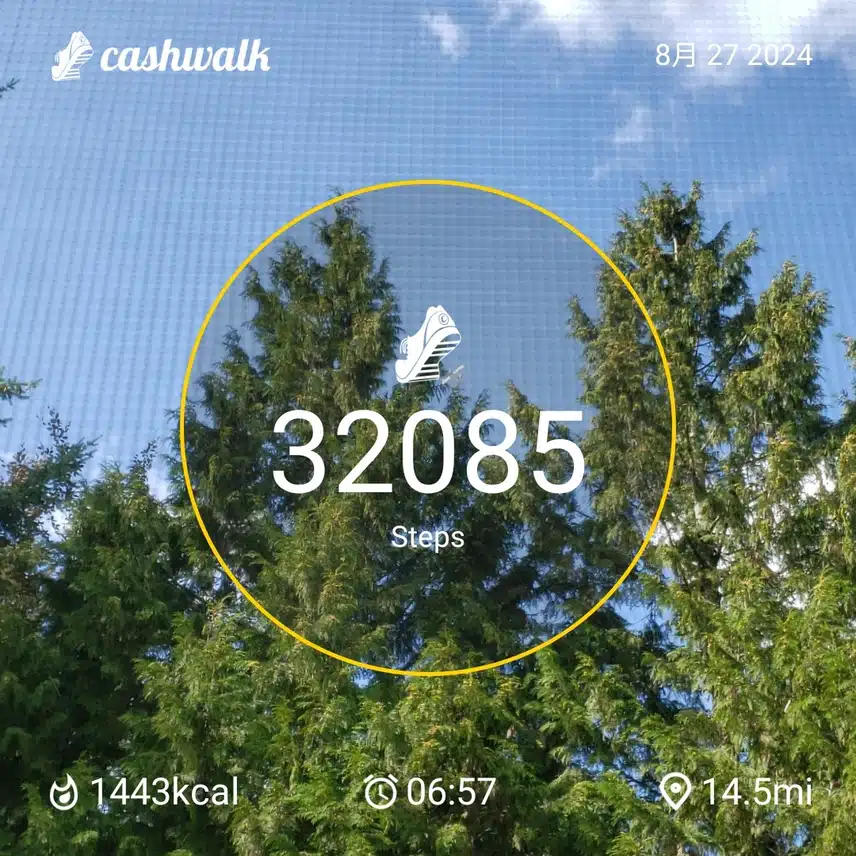 CashWalk_share_capture_20240827_e42e111e-0321-4f09-92a0-682090d6