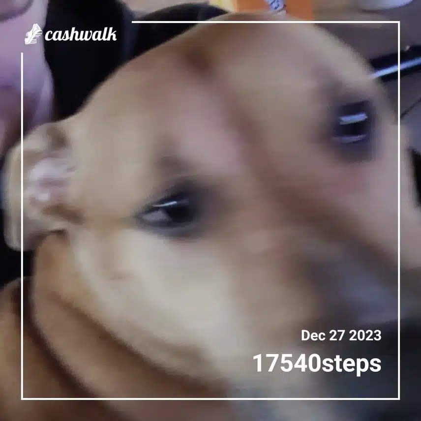 CashWalk_share_capture_20231227_e9361d00-aa5b-4678-a28e-5d957f0b