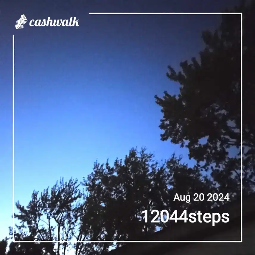 CashWalk_share_capture_20240820_47e04d00-a3cd-4c23-b975-5c36e96f
