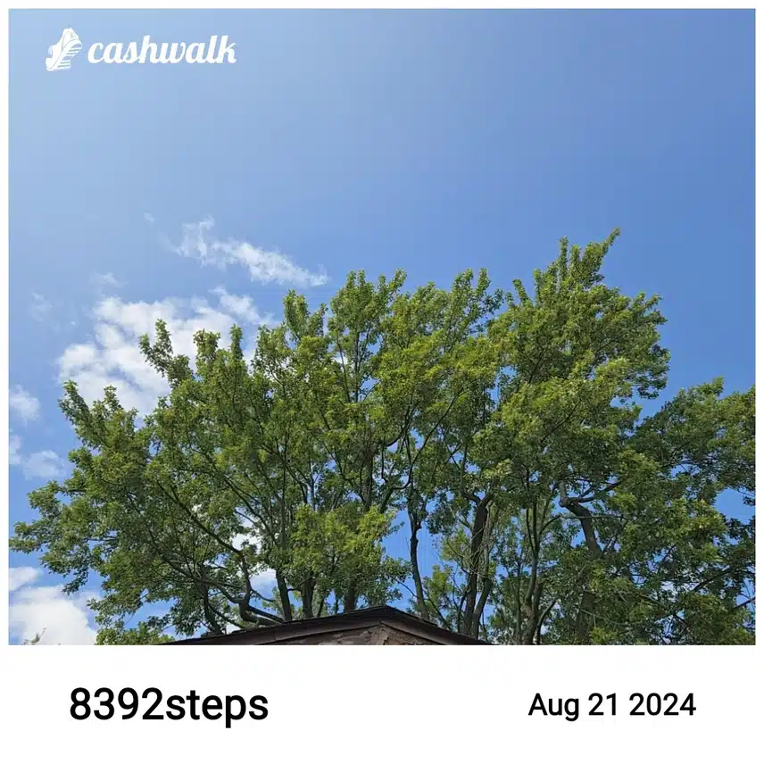 CashWalk_share_capture_20240821_c3954174-13b7-4700-a0e4-05fe613b