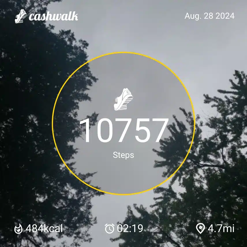 CashWalk_share_capture_20240828_5b23ad7a-c8ce-4764-9f9f-87a4a80f