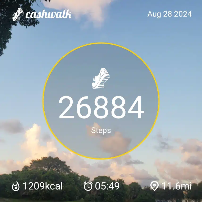 CashWalk_share_capture_20240828_e2d3febc-5fdd-484b-b22b-351ca536