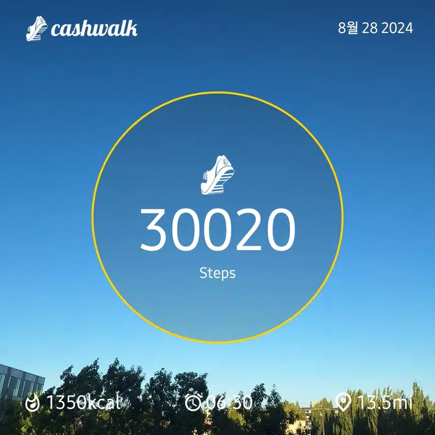 1000034928.jpg_resize